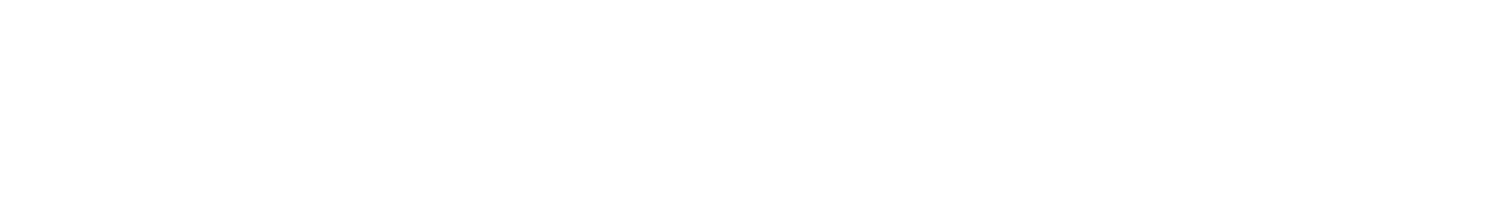Stephens Technology Solutions